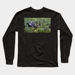 Tiny Mushrooms in the Wet Grass Long Sleeve T-Shirt